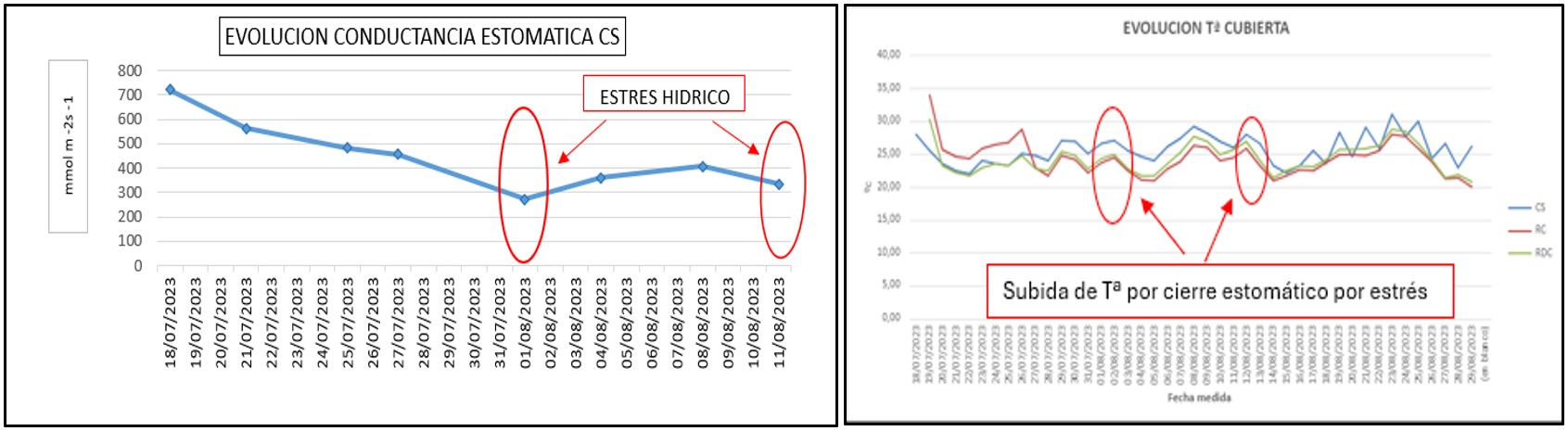 Digispac%20figura%2013
